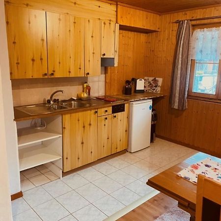 Guenstig Und Einfaches Studio Auf Dem Bauernhof Zuoz Ngoại thất bức ảnh